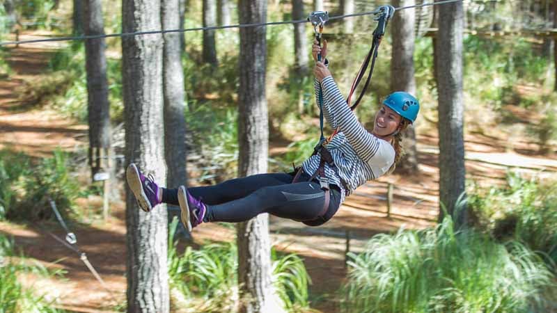Tree Adventure's 'High Flyer' option is perfect for confident first timers right through to hardened adrenaline junkies looking for a thrilling adventure high in the tree canopy.